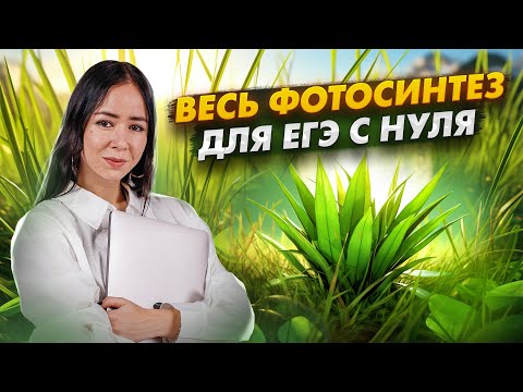 Видео: Весь фотосинтез для ЕГЭ с нуля | Биология ЕГЭ