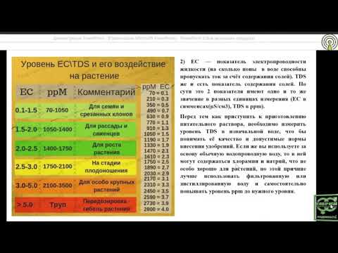 Видео: Прокопенко Татьяна - Питание томата, огурца в фермерских теплицах. Разбор типичных ошибок