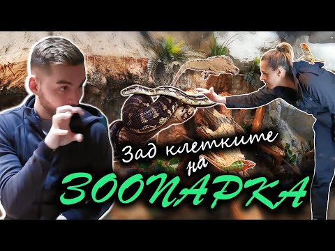 Видео: Епизод 4: Зад клетките на Софийския зоопарк с човека-енциклопедия и неговите диви питомци