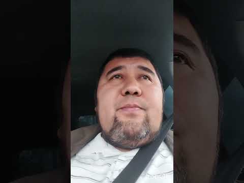 Видео: Сиырдын шуы туспесе не истеймиз?