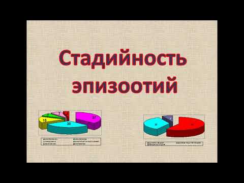 Видео: Петрова Ю.Н. Проявление эпизоотического процесса