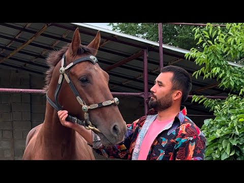 Видео: Таутұмармен кездесу