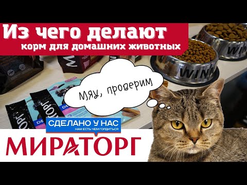 Видео: Как делают корма для домашних животных на заводе Мираторг