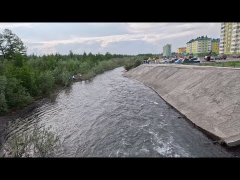Видео: Талнах, 02.07.2023г.