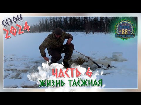 Видео: Регион 88 | Сезон 24 - Жизнь таёжная - часть 6