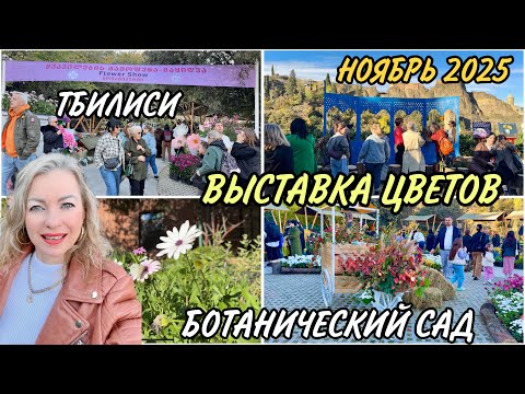 Видео: Тбилиси. Выставка цветов в Ботаническом Саду. Большая Прогулка по осеннему Саду 🍁 Много красоты 🔥