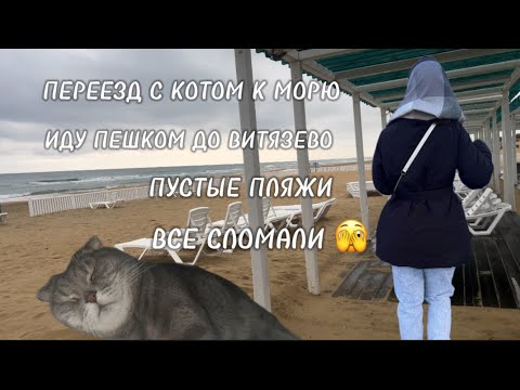 Видео: ПЕРВАЯ ОСЕНЬ В АНАПЕ / ИДУ ПЕШКОМ ДО ВИТЯЗЕВО / ЖИЗНЬ С КОТОМ В МОРЯ #анапа #море #переезд #пмжнаюг