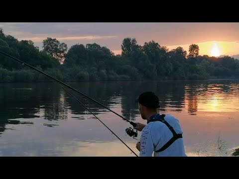 Видео: РЫБАЛКА НА РЕКЕ ПРИПЯТЬ  РАЗДАЧА ЛЕЩА ПОДЛЕЩИКА ПОСЛЕ 8 00