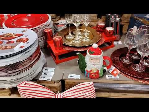 Видео: 8 ноября 2025 г.