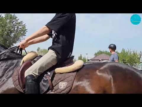 Видео: Тренировка в рамках УТС по конкуру. Ташкент, 20.04.24.