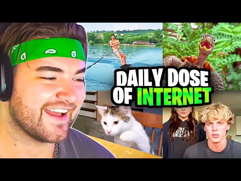 Видео: ЛУЧШИЕ ВИДЕО СО ВСЕГО ИНТЕРНЕТА!! | Реакция KingWoolz