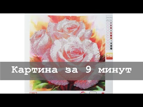 Видео: Алмазная мозаика за 9 минут