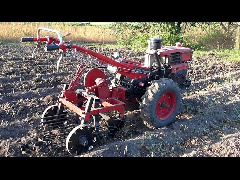 Видео: Копаем картошку мотоблоком. Огород под склон, земля БЕТОН!