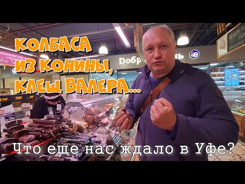 Видео: Добрались до Уфы! Конец перегона авто Владивосток-Уфа. День 6-7