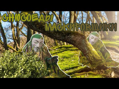 Видео: Все о Снюсоедах Маскировщиках | Энциклопедия Снюсоедов #13