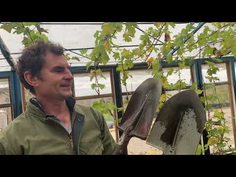 Видео: Ловкий інструмент. 1.11.25