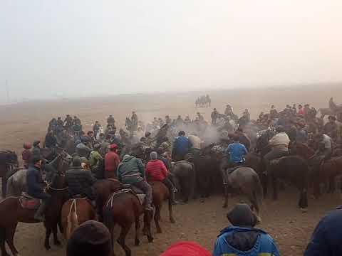 Видео: Аксы. Кум айылы. Кок бору