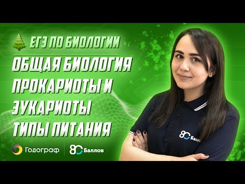 Видео: ЕГЭ по Биологии 2022. Общая биология. Прокариоты и эукариоты. Типы питания