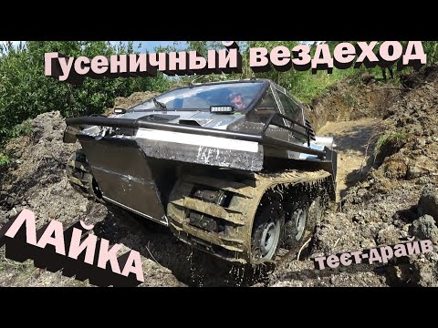 Видео: Тест-драйв обновленного вездехода ЛАЙКА "Орбита"