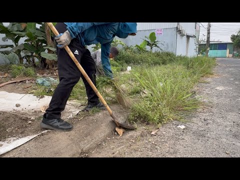 Видео: Вторжение заросшей травы на тротуаре | Уборка для восстановления тротуара