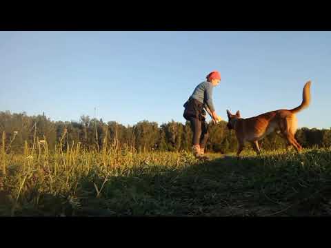 Видео: боковые переключения