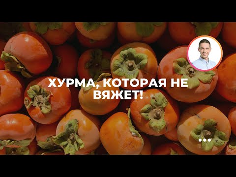 Видео: Хурма, которая не вяжет! Что такое королёк и как испанцы продают нам неспелую, но сладкую хурму?