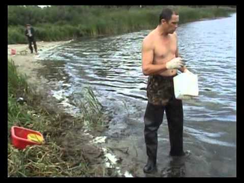 Видео: 3   Квок