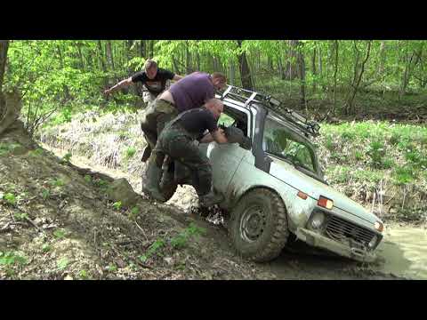 Видео: Старый друг Ду-ду-гуш часть 2.