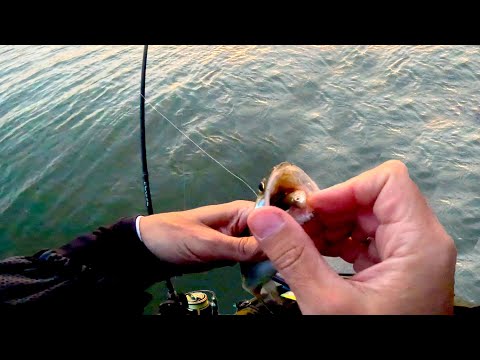 Видео: Зашел ПО КОЛЕНО в воду и НАЧАЛОСЬ ТАКОЕ ....