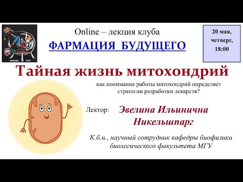 Видео: Э.И. Никельшпарг - Тайная жизнь митохондрий