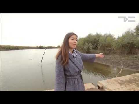 Видео: Самоварное царство - "Утро с вами" 26.09.2017