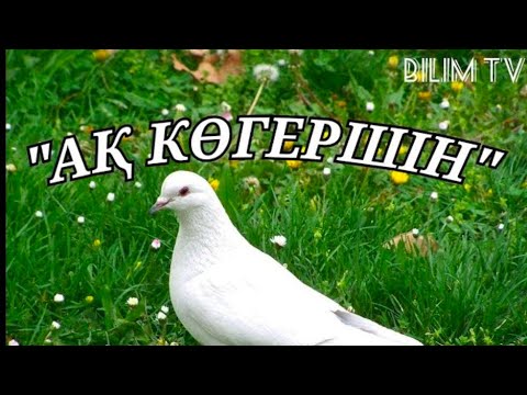 Видео: +АҚ КӨГЕРШІН әні  ПЛЮС+СӨЗІ балалар әні