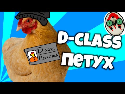 Видео: D-CLASS ПЕТУХ - SCP SECRET LABORATORY / СМЕШНЫЕ МОМЕНТЫ 48