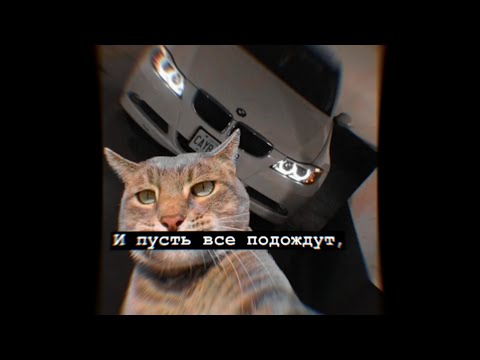 Видео: Лучшая подборка цитат | грустные, крутые, смешные цитаты | #57 | Best selection of quotes