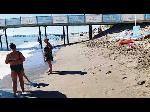 Видео: 22 октября 2025 г.