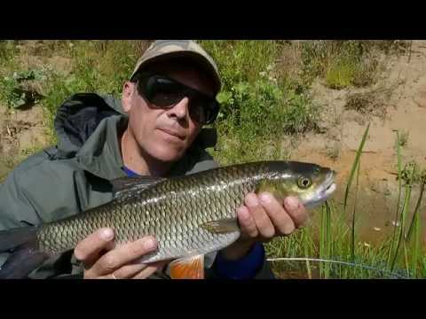 Видео: Воблер для голавля "винницкий головастик"