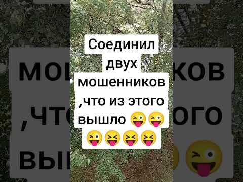 Видео: #мошенникивсети #приколы #юмор #рекомендации #смех #ржака 