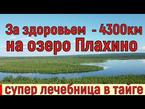 Видео: ✅ На озеро Плахино за здоровьем из Нижнего Новгорода за 4300 км. Июль 2024 год.