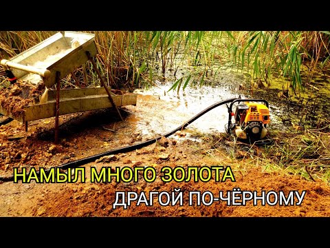 Видео: НАМЫЛ МНОГО ЗОЛОТА ДРАГОЙ