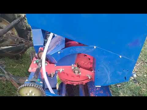 Видео: Посадка чеснока сезон 2023. Обзор чеснокасажалки и продажа.