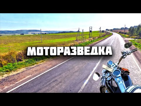 Видео: Разведка местности на Harley Davidson #cruiservibe
