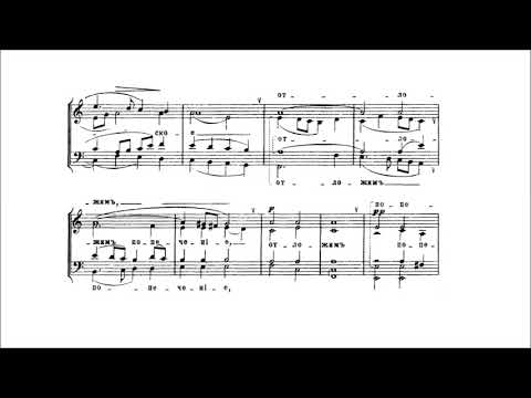 Видео: П.Г. Чесноков "Херувимская песнь" ор. №42