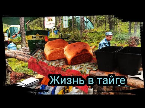 Видео: СВЕЖИЙ ХЛЕБ В ТАЙГЕ. ПРИПОЛЯРНЫЙ УРАЛ. Bushcraft ( # 4/6 )