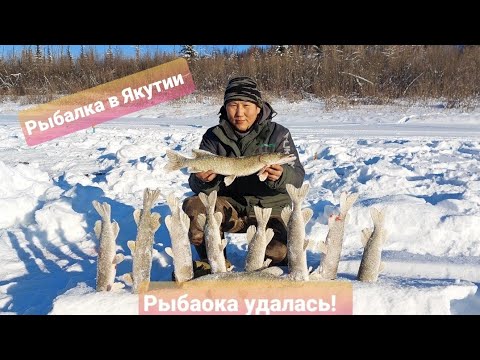 Видео: Подледная рыбалка в Якутии.  Река Синяя. Часть 1. Winter fishing in Yakutia