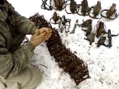 Видео: Мои капканы  проходные и ногозахват