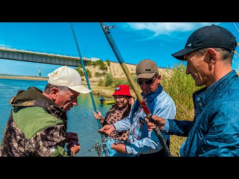 Видео: КАЗАХСТАН! РЫБАЛКА на реке Или! Уха из Сазана, жарим Рыбу! ПРИРОДА Казахстана!
