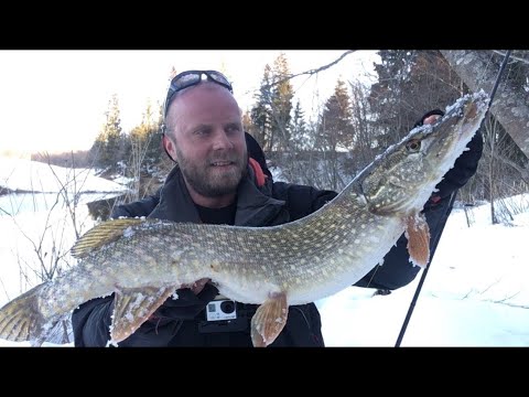 Видео: МАЛЫЕ РЕКА УДИВЛЯЮТ В МАРТЕ! Ловля щуки на СПИННИНГ! Рыбалка в подмосковье весной!