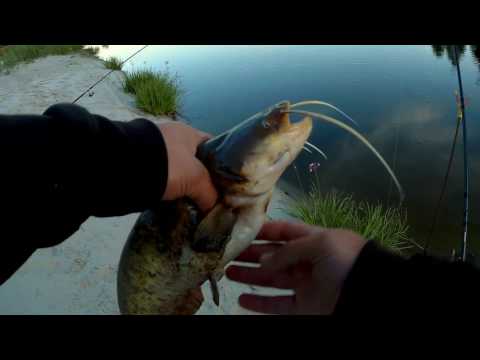 Видео: Ночная ловля сома на Десне. Фидер с лодки. Рыбалка с ночевкой