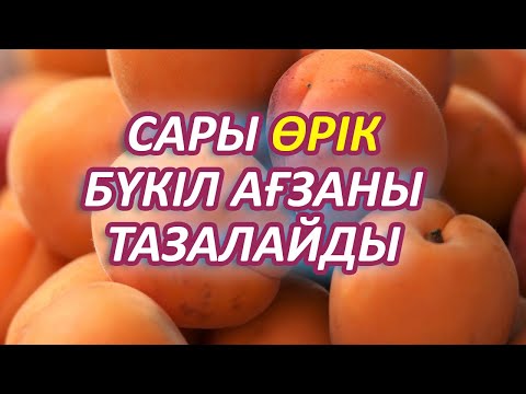 Видео: Сары Өрікті қазір Алып Жеңіз, БҮКІЛ АҒЗАНЫ ТАЗАЛАЙДЫ, Өріктің 10 ауруға шипасы, Керек арнасы