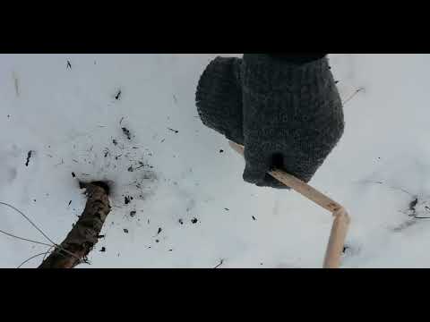 Видео: УСТАНОВКА петли на Зайца чтобы на верняка 🐇